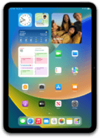iPad (Cellular, 10th generation)