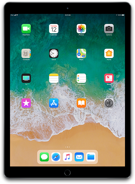iPad Pro 12.9-inch (WiFi)
